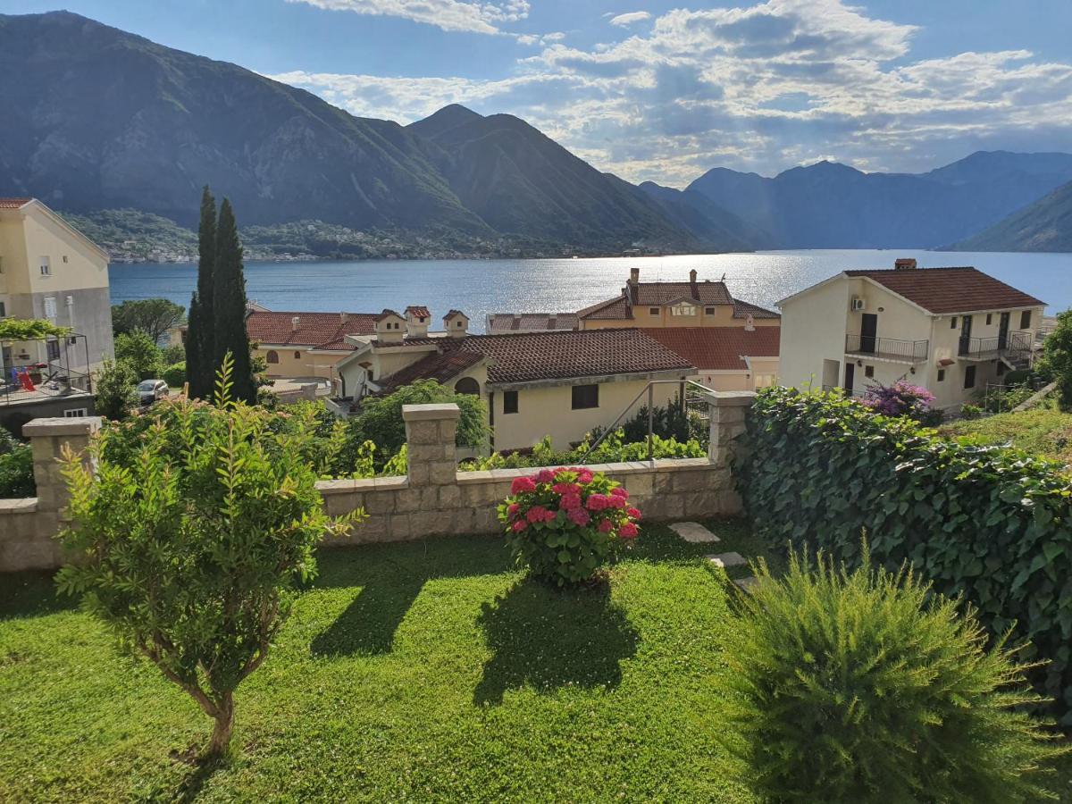 Pearl Shell Apartments Kotor Zewnętrze zdjęcie