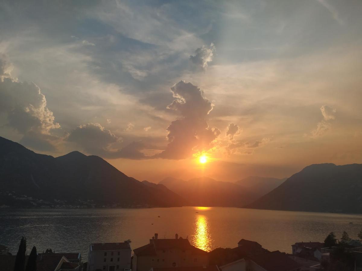 Pearl Shell Apartments Kotor Zewnętrze zdjęcie