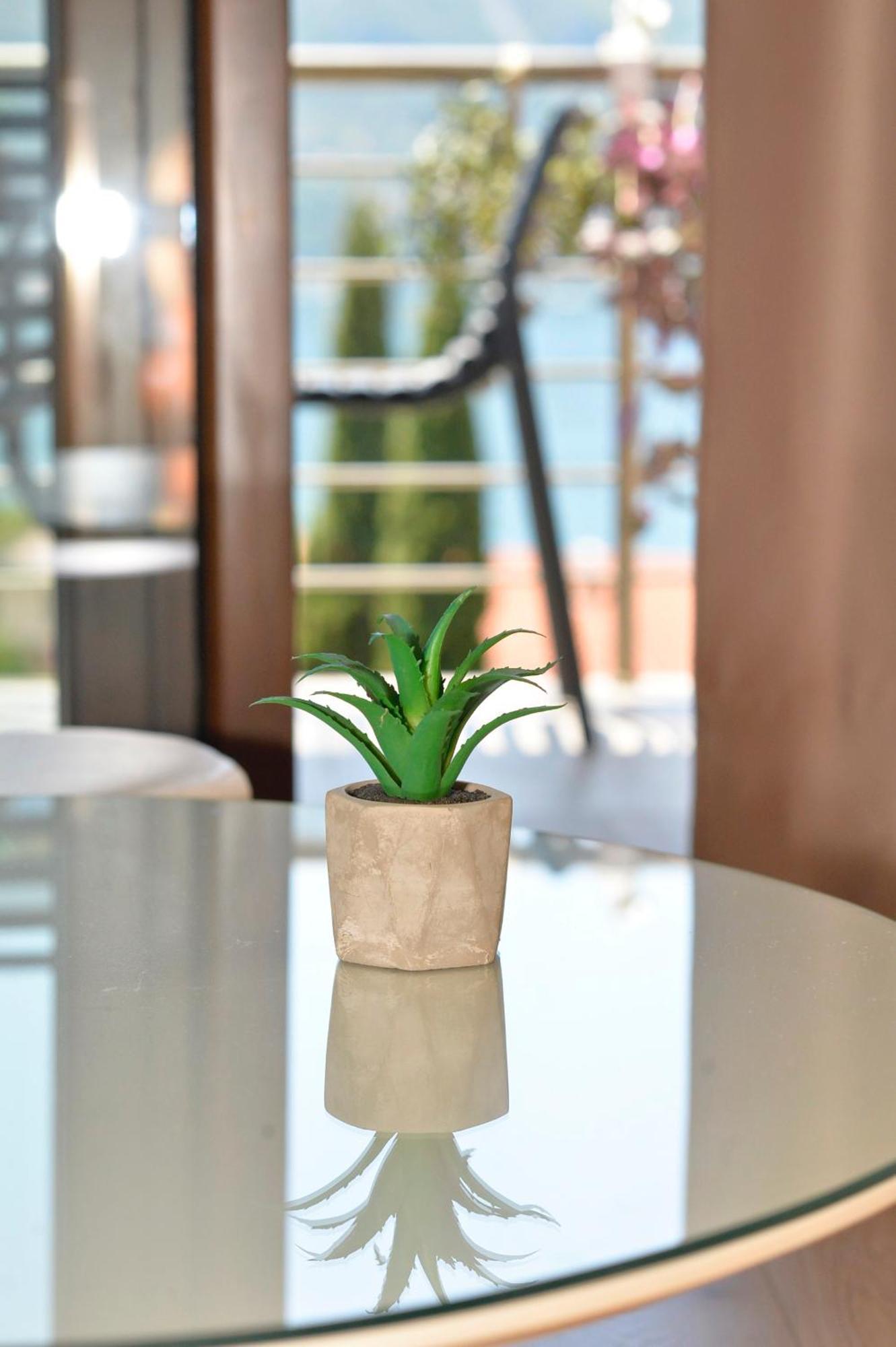 Pearl Shell Apartments Kotor Zewnętrze zdjęcie